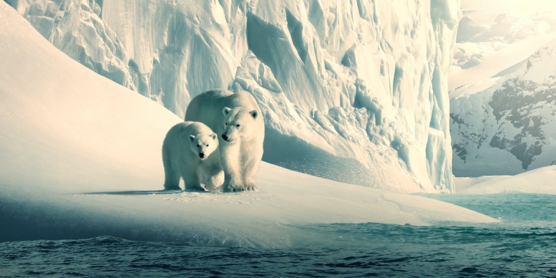 Netflix publie des documentaires à des fins éducatives